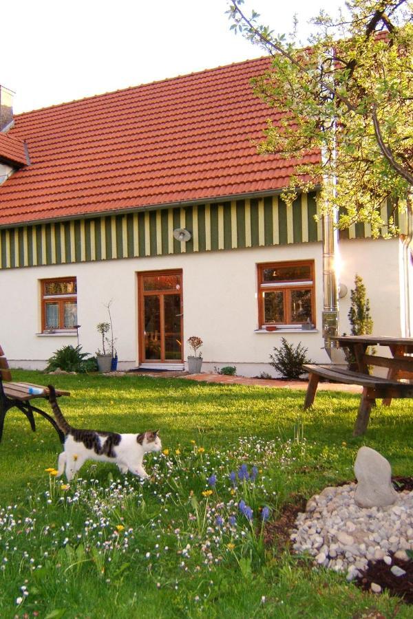 Bio Pension Kirschenfee Sontheim  Bagian luar foto