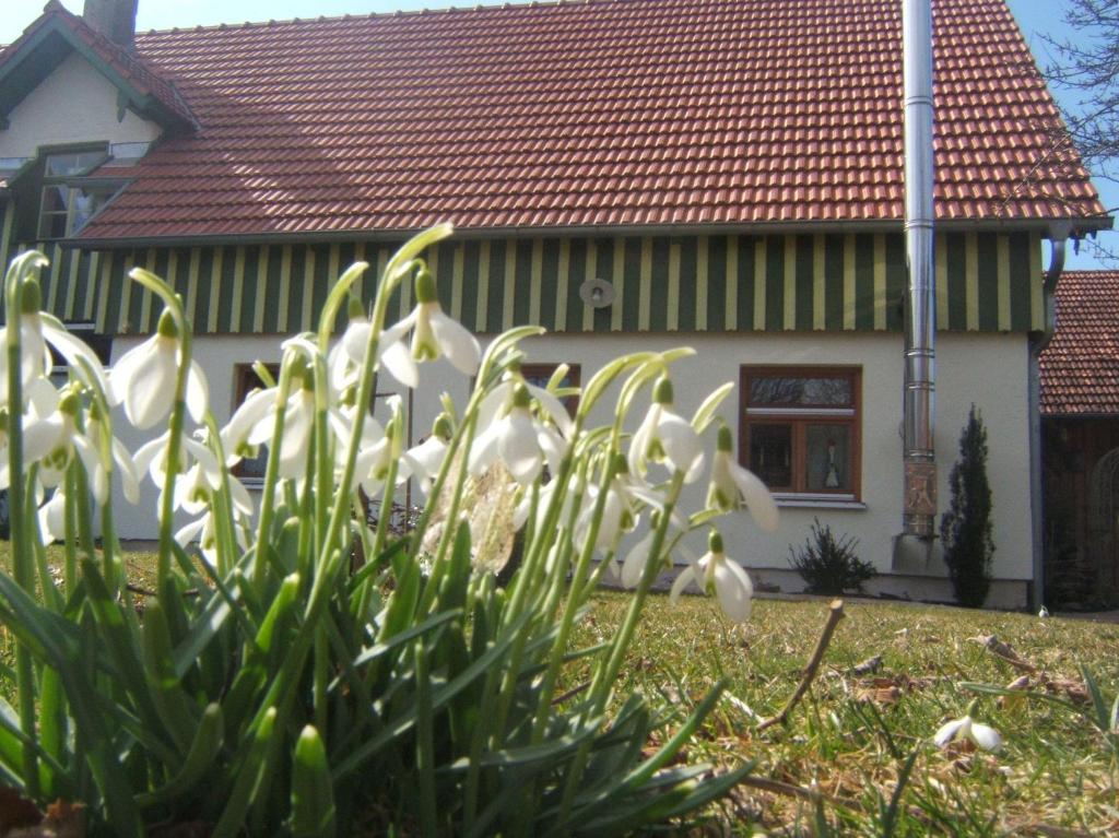 Bio Pension Kirschenfee Sontheim  Bagian luar foto