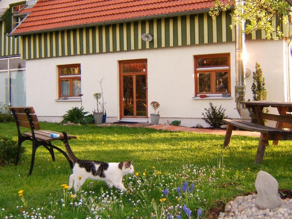 Bio Pension Kirschenfee Sontheim  Bagian luar foto